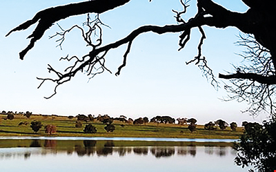 talentos fenae_site.jpg